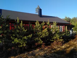 Ferienhaus SLAPPE AV eingebettet zwischen Tannen