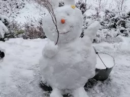 Schneehase auf dem Grundstück von SLAPPE AV