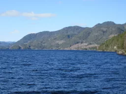 Landschaft bei Fyresdal in Telemark