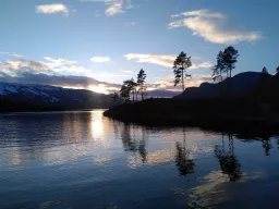 Klokkarbukti am Ufer des Vråvatn