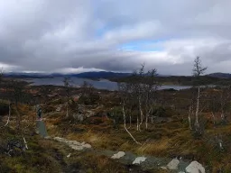 Hochebene Skinnarbu in Telemark